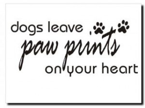 to you leave me speechless quotes you leave me speechless quotes you ...