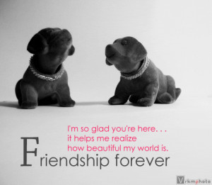 Friendship Dogs Friendship