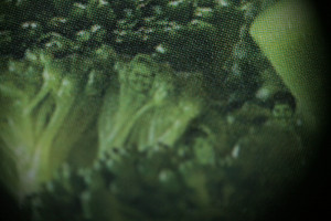 BLOG - Funny Broccoli