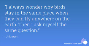 always wonder why birds stay in the same place when they can fly ...