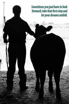 quotes shows cattle quotes livestock shows quotes stockshow quotes ...