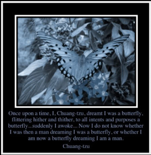 Butterfly Quotes (18)
