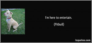 here to entertain. - Pitbull