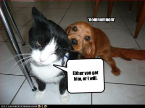 Humpin' with the Celebrities...it's not always a good idea.