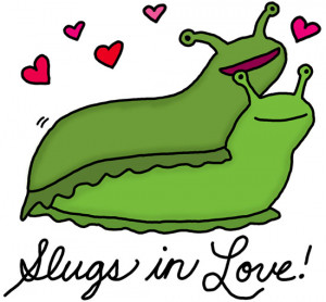 slugs in love