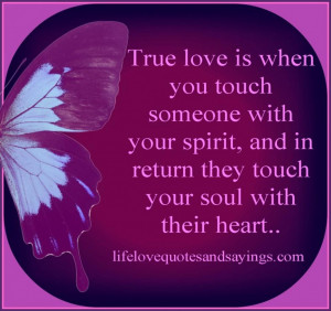 love-quotes-and-sayings-with-the-picture-of-the-butterfly-new-love ...