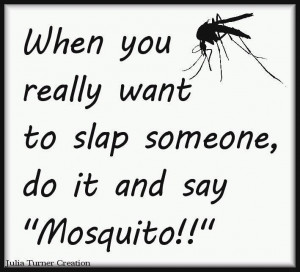 When You Really Want to Slap Someone Do It and Say Mosquito