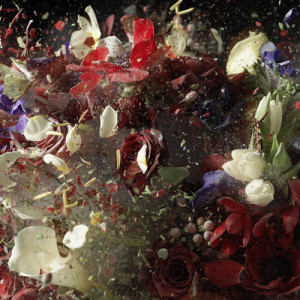 Ori Gersht :: Time After Time: Blow Up No. 12 (02007) :: Image at ...