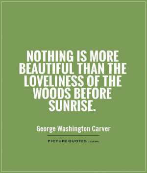 ... beautiful-than-the-loveliness-of-the-woods-before-sunrise-quote-1.jpg