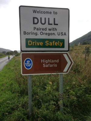 Just Go With It Quotes Sheep Just down the road from