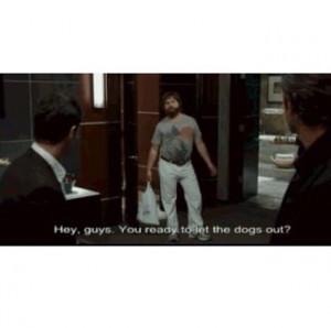Alan quote. The Hangover.