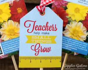 Teachers Help Small Things Grow: Teacher Appreciation Gift