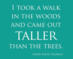 love this quote, Thoreau was so wise..