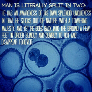 ... Quotes, Theory Tmt, Inspiration Quotes, Existential Angst, Management