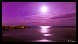 Purple-beach-beach-nature-purple-reflection-rocks.jpg
