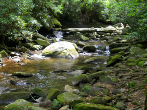 Like all mountain streams, the rushing water beckons you to come and ...