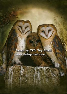 Quotes About Owls