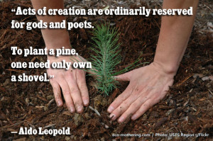 aldo leopold quote environmental quotes from silentsprings