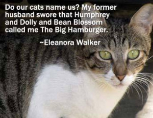 Do Our cats name us? My former husband swore that humphrey and dolly ...