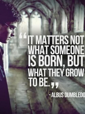 albus dumbledore, hp, love it, quotes