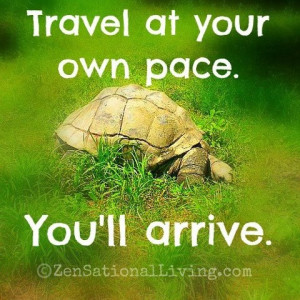 Turtle quote on Travel...