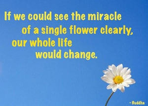 Flower change buddha quote