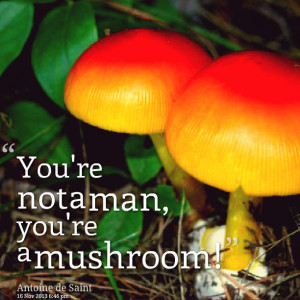 Quotes Picture: you're not a man, you're a mushroom!
