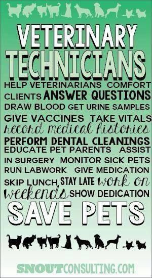 Veterinary technician