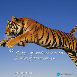 William Blake wise #quote