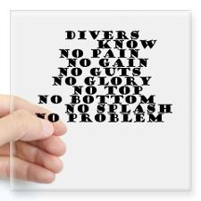 Springboard Diving Bumper Stickers