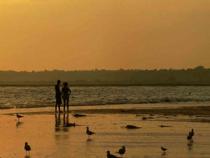 Beach Scenes Picture