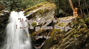 Quotes About Going To Heaven If dogs dont go to heaven.