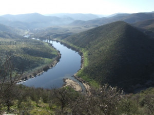 the confluence of the ribeira de piscos piscos brook the côa river ...