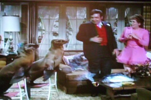 Alice Ghostley Bewitched Tom bosley & alice ghostley on bewitched