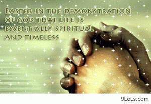 ... , funny pictures, funny quotes, funny summer 2013, humor daily quotes