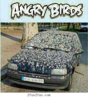 Angry birds. YUCK
