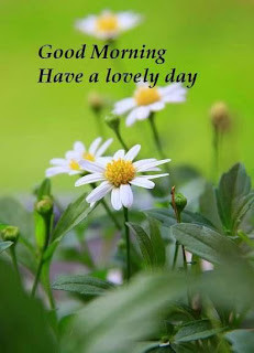 Good Morning Sms and Card