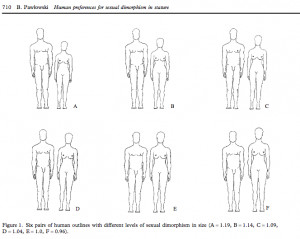 ... The Optimal Or “Perfect” Height Ratio And Difference For Couples