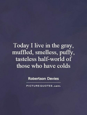 ... puffy, tasteless half-world of those who have colds Picture Quote #1