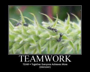 quotes teamwork quotes teamwork quotes teamwork quotes teamwork quotes ...