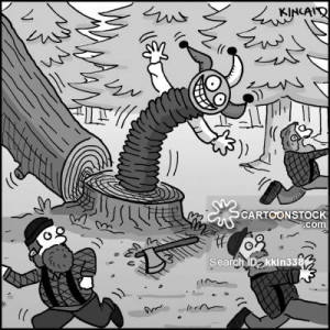 logging cartoons, logging cartoon, funny, logging picture, logging ...