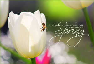 newark1.com | Photo of the Day | Can Spring Be Far Behind? By design7 ...
