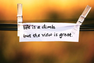 Life Is A Climb, But The View Is Great