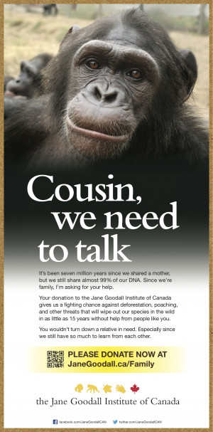 ... Jane Goodall Institute of Canada gives chimpanzees a fighting chance