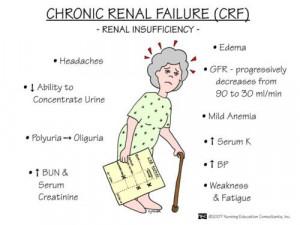 cupcakern:CRF- Renal insufficiency