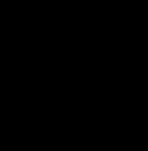 10 Habits of a Successful LE Family