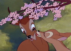 gif Gifmovie animals film disney animation bambi 1940's