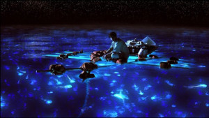 Wow → Glowing Bioluminescent Plankton