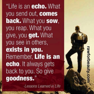 Life is an echo ... Quote