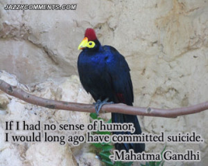 humor quotes humorous life quotes dry humor quotes best humor quotes ...